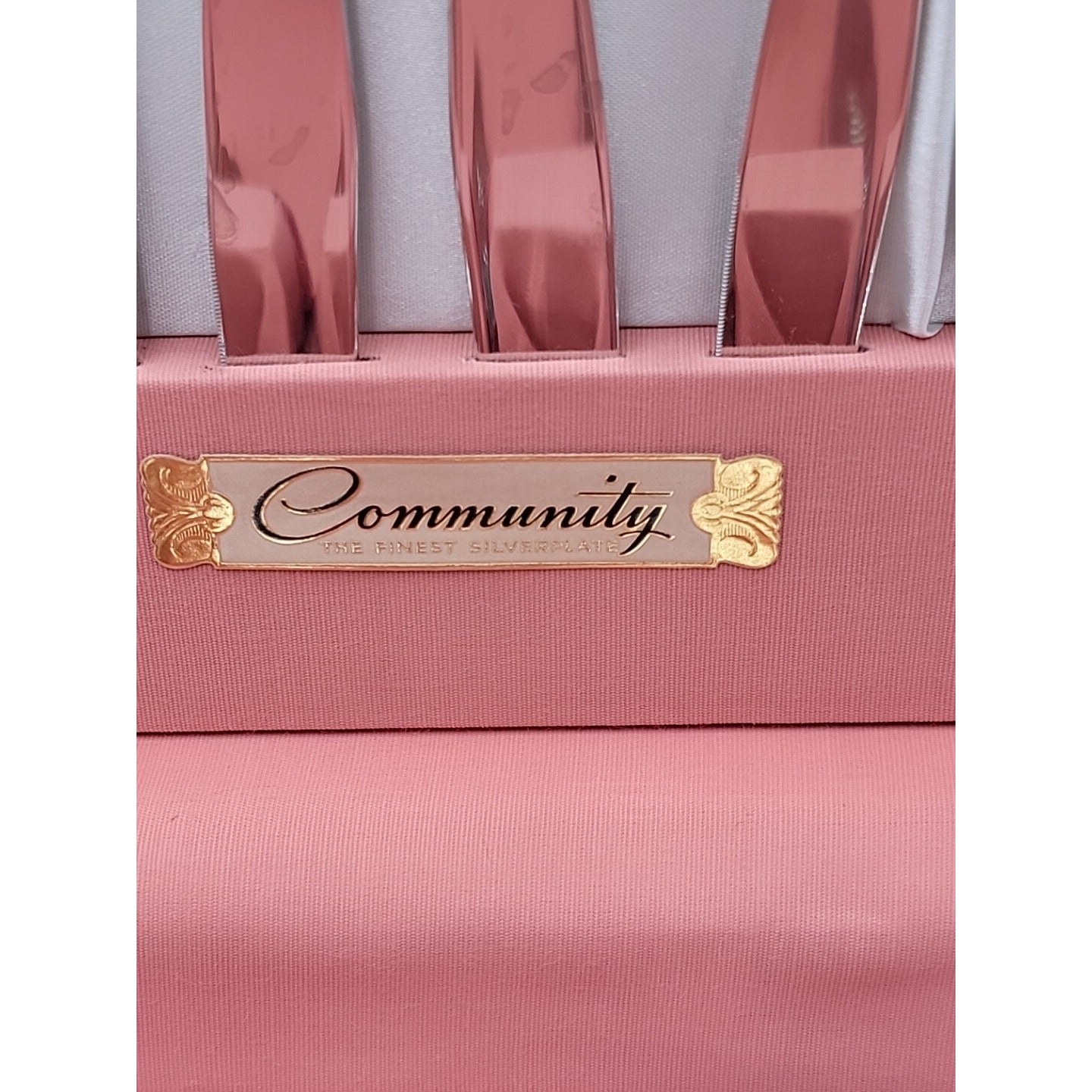 Community Song Of Autumn Flatware Silver Plated Service of 8 w/Extras in Chest